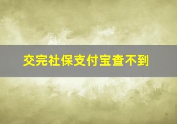 交完社保支付宝查不到