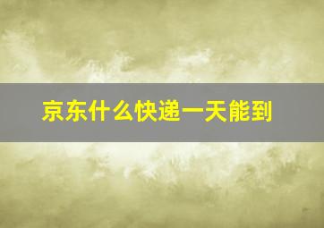 京东什么快递一天能到