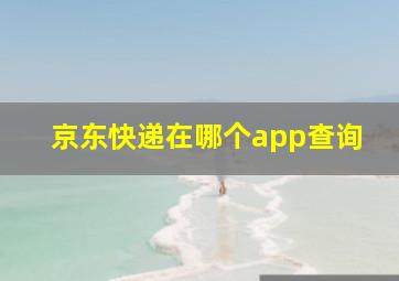 京东快递在哪个app查询