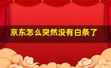 京东怎么突然没有白条了