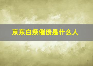 京东白条催债是什么人