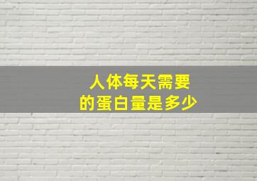 人体每天需要的蛋白量是多少