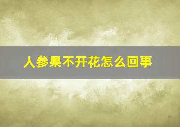 人参果不开花怎么回事