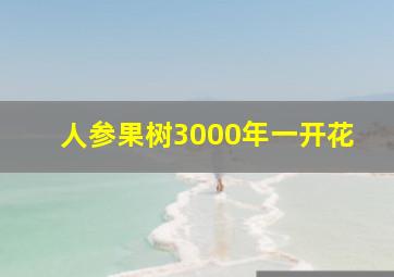 人参果树3000年一开花