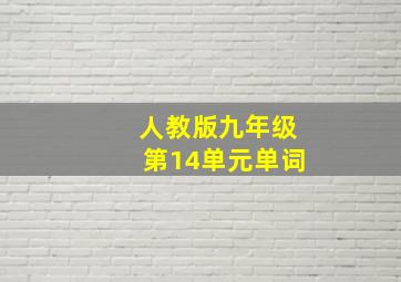 人教版九年级第14单元单词