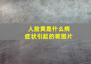 人脸黄是什么病症状引起的呢图片