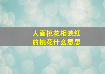 人面桃花相映红的桃花什么意思