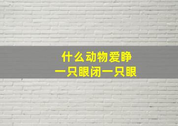 什么动物爱睁一只眼闭一只眼