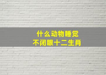 什么动物睡觉不闭眼十二生肖