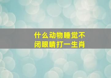 什么动物睡觉不闭眼睛打一生肖