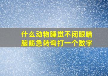 什么动物睡觉不闭眼睛脑筋急转弯打一个数字