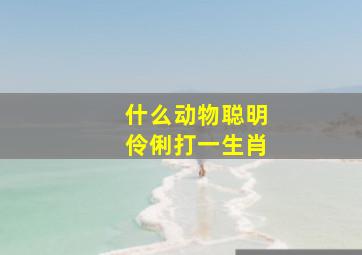 什么动物聪明伶俐打一生肖