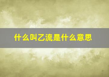 什么叫乙流是什么意思