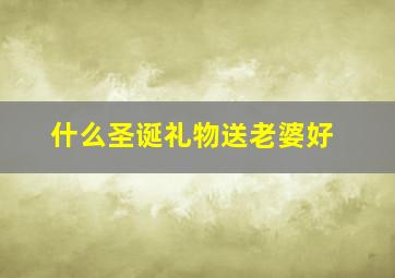 什么圣诞礼物送老婆好