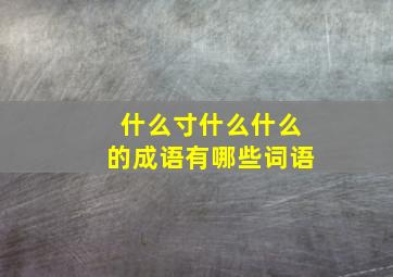 什么寸什么什么的成语有哪些词语