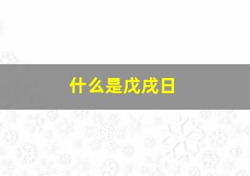 什么是戊戌日