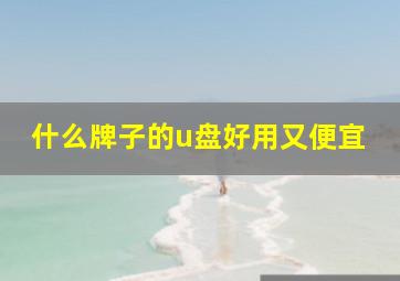 什么牌子的u盘好用又便宜