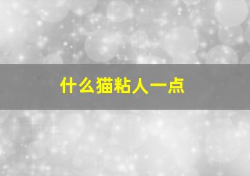 什么猫粘人一点