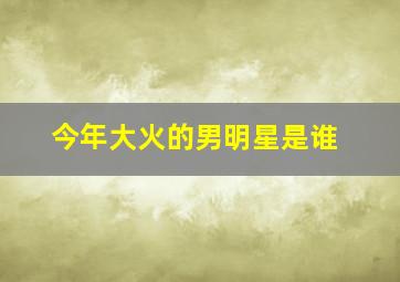 今年大火的男明星是谁