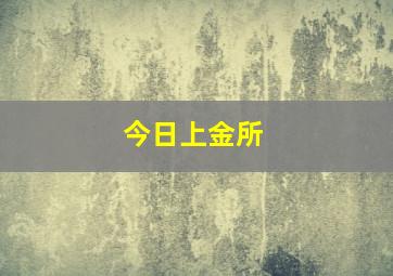 今日上金所