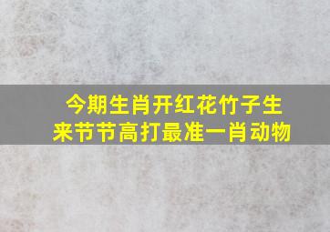 今期生肖开红花竹子生来节节高打最准一肖动物