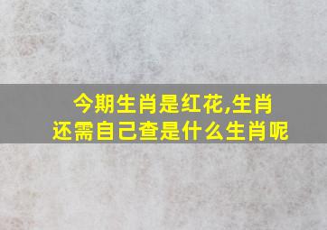 今期生肖是红花,生肖还需自己查是什么生肖呢