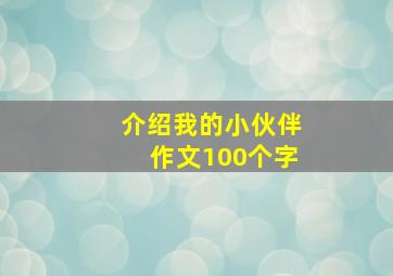 介绍我的小伙伴作文100个字