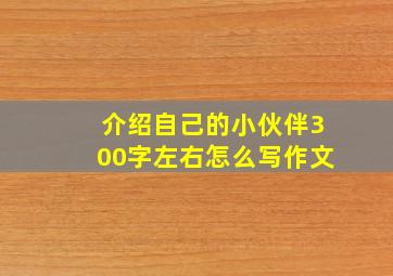 介绍自己的小伙伴300字左右怎么写作文