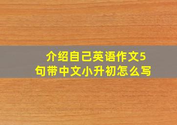 介绍自己英语作文5句带中文小升初怎么写