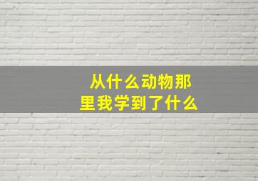 从什么动物那里我学到了什么