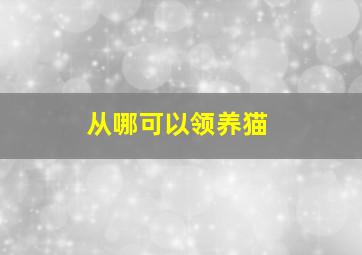 从哪可以领养猫