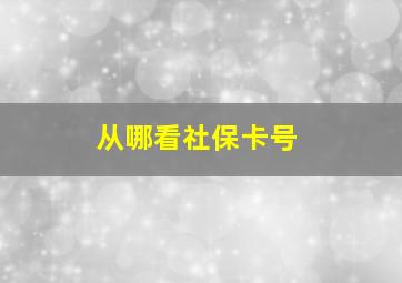 从哪看社保卡号