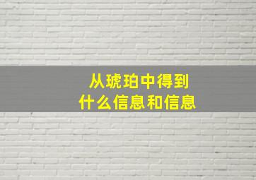 从琥珀中得到什么信息和信息