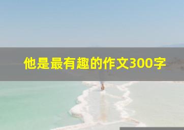 他是最有趣的作文300字