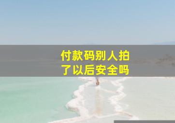 付款码别人拍了以后安全吗