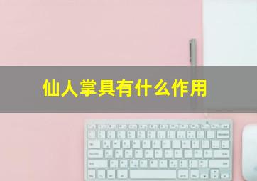 仙人掌具有什么作用