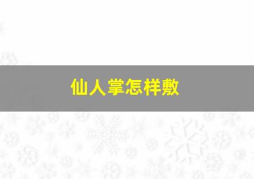 仙人掌怎样敷