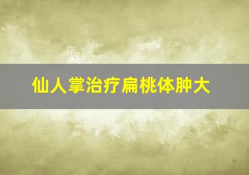 仙人掌治疗扁桃体肿大