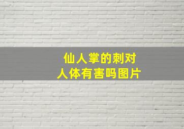 仙人掌的刺对人体有害吗图片