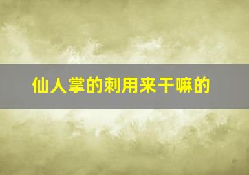 仙人掌的刺用来干嘛的