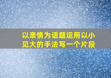 以亲情为话题运用以小见大的手法写一个片段