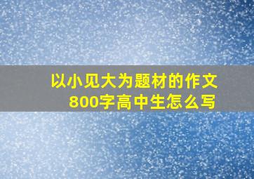 以小见大为题材的作文800字高中生怎么写