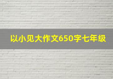 以小见大作文650字七年级