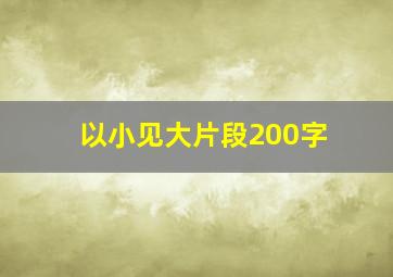 以小见大片段200字