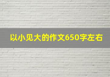 以小见大的作文650字左右