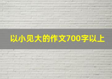 以小见大的作文700字以上