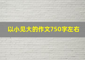 以小见大的作文750字左右