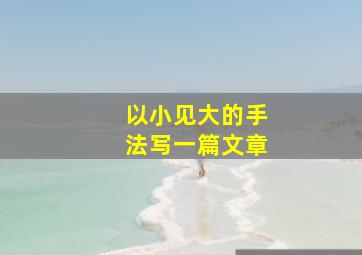 以小见大的手法写一篇文章