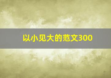 以小见大的范文300