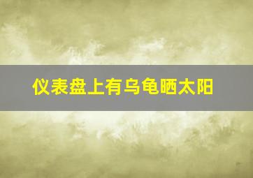 仪表盘上有乌龟晒太阳